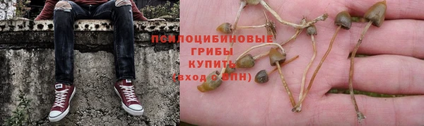 скорость Алексин