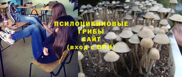 скорость Алексин