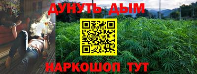 СК Краснознаменск