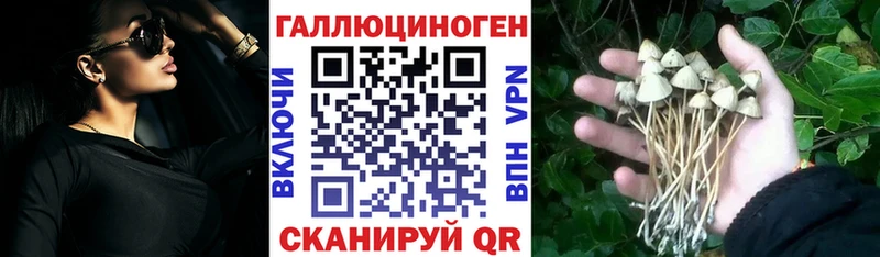 Галлюциногенные грибы MAGIC MUSHROOMS  omg сайт  сайты даркнета телеграм  Клин 