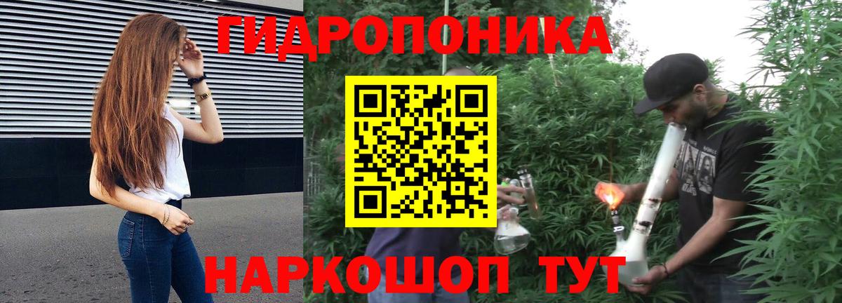 Каннабис семена  Марихуана White Widow  Каннабис Ganja  Клин  Вход с VPN 